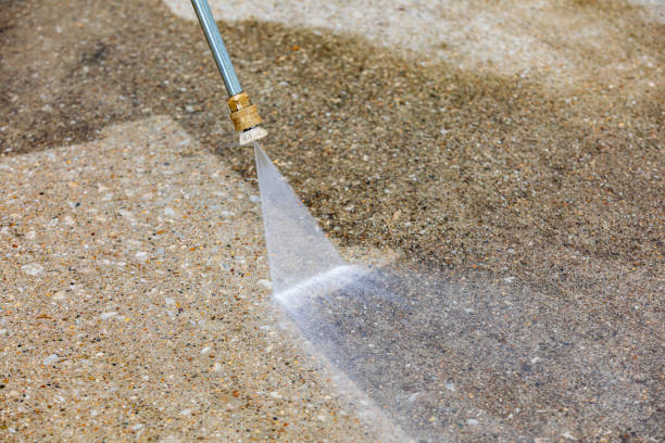 Animal Enclosure Cleaning in South Venice, FL